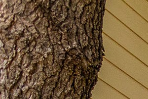 Edmond Apartments for Rent | Windrush Apartment Homes